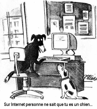 Comment se faire connaitre sur le web en tant que consultant internet et consulting