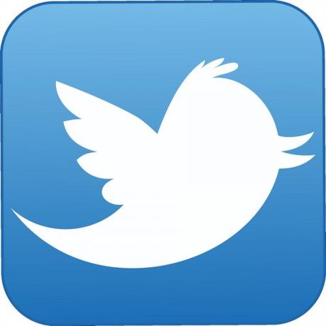 Comment se faire connaitre sur le web en tant que consultant logo twitter