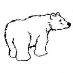 dessin de ours