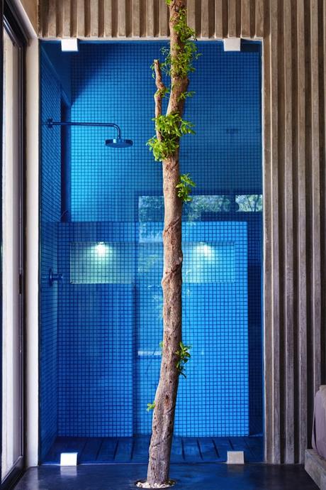 DECO : Casa T, un petit paradis mexicain studio-arquitecots-casa-t-vacation-home-in-tulum-08-800x1200