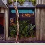 DECO : Casa T, un petit paradis mexicain DECO : Casa T, un petit paradis mexicain