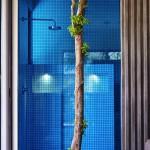 DECO : Casa T, un petit paradis mexicain DECO : Casa T, un petit paradis mexicain