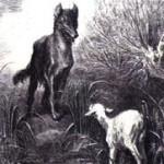 illustration de gustave doré le loup et l agneau