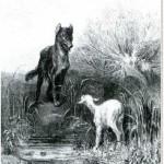 illustration de gustave doré le loup et l agneau