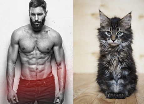 Instant Mec : Des mecs et des chatons ! Instant Mec : Des mecs et des chatons !