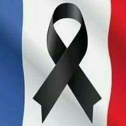 Tribune d'Elsa Di Méo