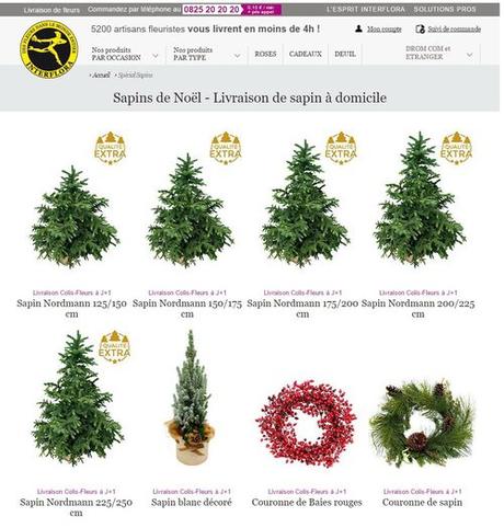 Interflora sapins de noel