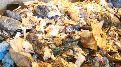 COP21 - Incinérateur d'Échillais : un scandale écologique en devenir ? COP21 - Incinérateur d'Échillais : un scandale écologique en devenir ?