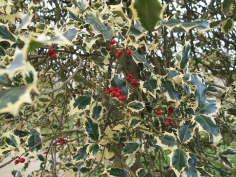 Promenade au Domaine de la Garenne Lemot (Clisson) OLYMPUS DIGITAL CAMERA