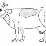 dessin de vache