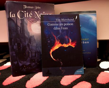 Calendrier de l'avent #4 - Trouver un livre avec une couverture bleue Calendrier de l'avent #4 - Trouver un livre avec une couverture bleue