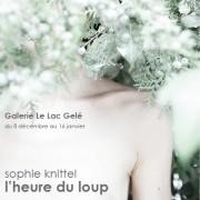 Exposition « L’Heure du Loup »  Sophie Knittel | Galerie Le Lac Gelé | Nimes