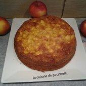 Mise à l'honneur 26 Gateau aux pommes sans gluten et sans lait au thermomix ou sans - La cuisine de Poupoule