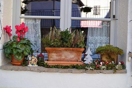 Conte de Noël 242a03_541121f35f0c4db8879bd85901e98b56