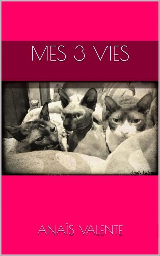 Nanowrimo (3ème) : Mes 3 vies - épisode 2 couv 2015 ok.jpg