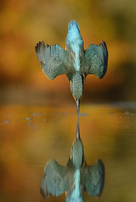La photographie du jour Alan McFadyen