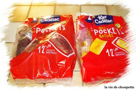 LES PETITS DAMIERS DE NOEL goûter féerique-925a