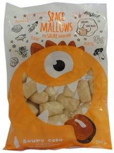 Allemagne : une victoire amère Space-Mallows