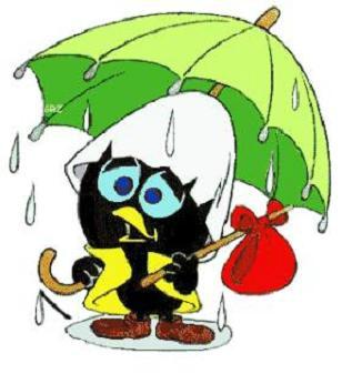 Régionales 2015 : le Père Noël sera-t-il en avance ? Régionales 2015 : le Père Noël sera-t-il en avance ?