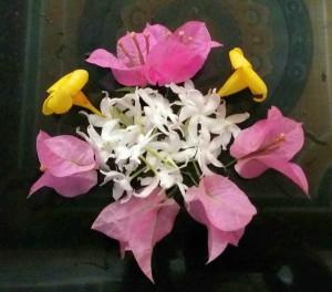 Sous le soleil du Sri Lanka Sous le soleil du Sri Lanka