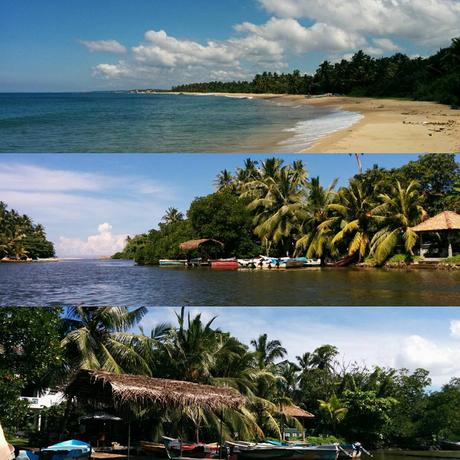 Sous le soleil du Sri Lanka Sous le soleil du Sri Lanka