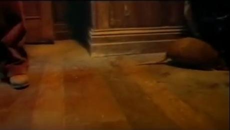 Is This Scary... ou la première naissance de Ghosts bête