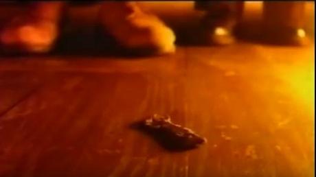 Is This Scary... ou la première naissance de Ghosts clé