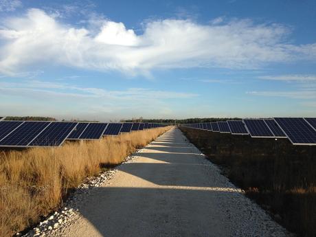 Il n'y a qu'un état d'urgence : sauver la planète ! img-0505 © Joseph Boussion