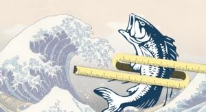 OBÉSITÉ: L'huile de poisson réveille le métabolisme des graisses – Scientific Reports
