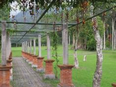 Le jardin botanique de Bali - Bali Botanic Garden - Bedugul - Balisolo (28)