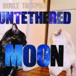 Top Ten 2015 Built to spill - Untethered moon