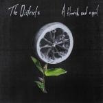 Top Ten 2015 The Districts - A flourish and a spoil