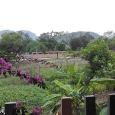 20151128_074607 Tam Cốc ou l’Halong Bay terrestre