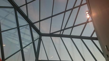 Je suis enfin allée au Musée des Confluences Je suis enfin allée au Musée des Confluences