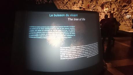 Je suis enfin allée au Musée des Confluences Je suis enfin allée au Musée des Confluences