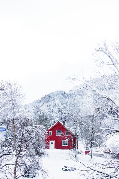 Norway in a nutshell® – 13 jours, la Norvège, mon chéri et moi ! vol.2 FJORDS-7