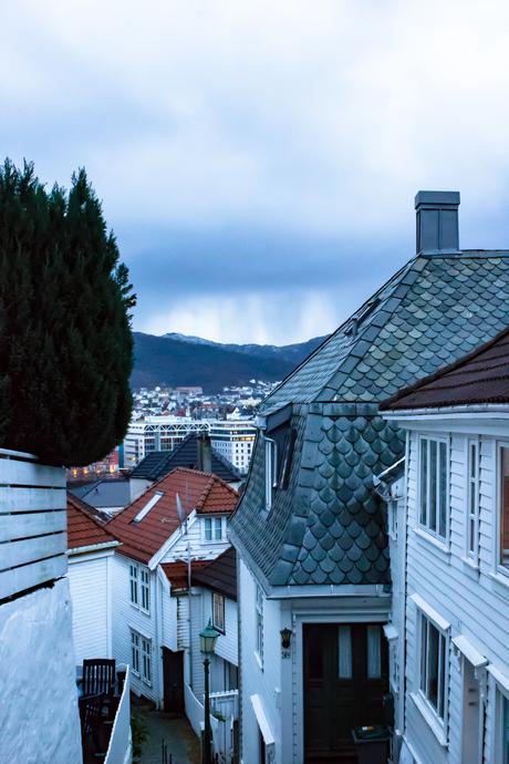Norway in a nutshell® – 13 jours, la Norvège, mon chéri et moi ! vol.2 TRAIN X BERGEN-16