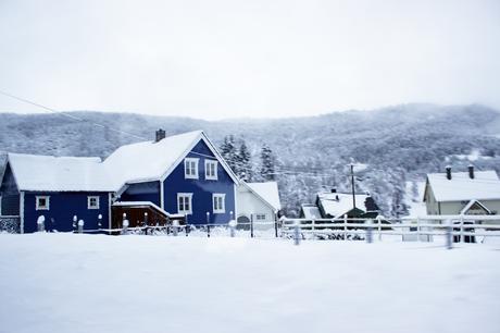 Norway in a nutshell® – 13 jours, la Norvège, mon chéri et moi ! vol.2 FJORDS-5