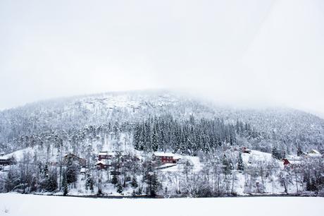 Norway in a nutshell® – 13 jours, la Norvège, mon chéri et moi ! vol.2 FJORDS-4