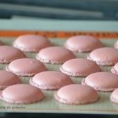 Macarons au framboises au thermomix COMMENT REUSSIR SES MACARONS AU THERMOMIX LE PAS A PAS EN IMAGES - La petite popotte de patoche !
