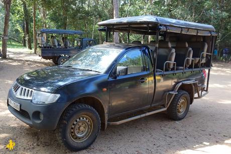 Top 5 des safaris en famille Top 5 des safaris en famille