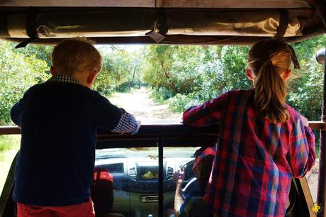 Top 5 des safaris en famille Top 5 des safaris en famille