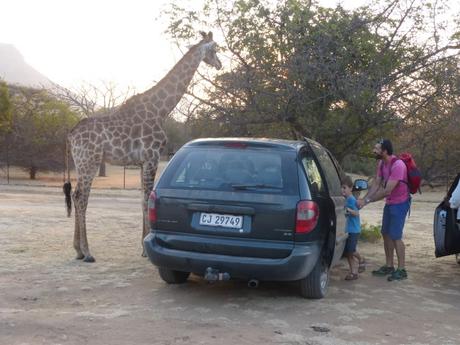 Top 5 des safaris en famille Top 5 des safaris en famille