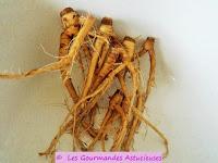 Salsifis et riz Salsifis verdures