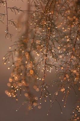 In the Mood for Christmas In the Mood for Christmas