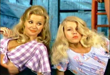 Hee Haw Hee Haw