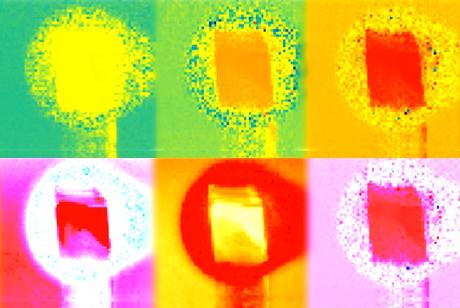 La coloration de  ces images révèle des informations sur 6 des 50 fréquences lumineuses que le système d’imagerie créé par les chercheurs est capable d’analyser (Crédits MIT) 