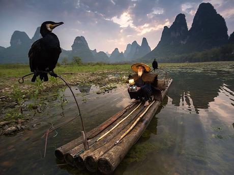 Le cormoran et le pêcheur, Xingping, Chine