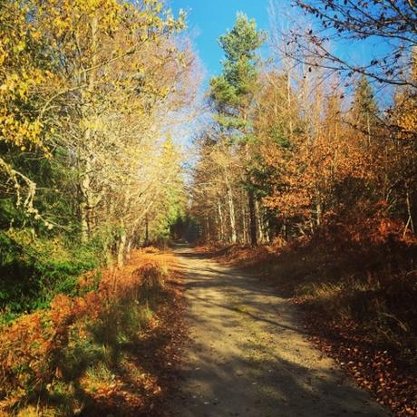 Les portes de l'Auvergne en automne Instagram