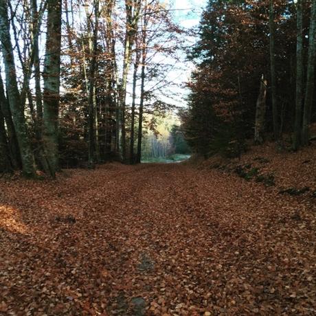 Les portes de l'Auvergne en automne Instagram